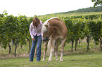 woman with Haflinger horse
