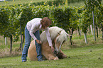 woman with Haflinger horse