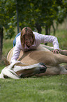 woman with Haflinger horse