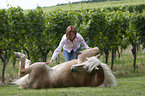 woman with Haflinger horse