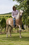 woman with Haflinger horse