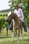 woman with Haflinger horse