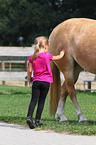 girl with haflinger horse