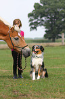 girl with haflinger horse