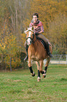 woman rides Haflinger horse