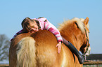 girl with Haflinger horse