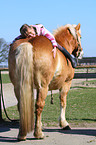 girl with Haflinger horse