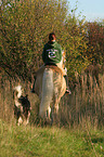 woman rides haflinger horse and is followed by a dog
