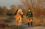 woman with haflinger horse