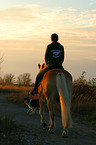 woman rides haflinger horse