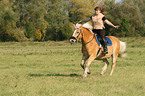 woman rides haflinger horse