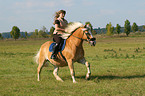 woman rides haflinger horse