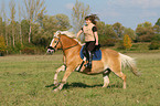 woman rides haflinger horse