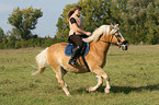 woman rides haflinger horse