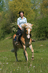 woman rides haflinger horse