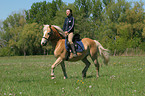 woman rides haflinger horse