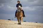 trotting Haflinger