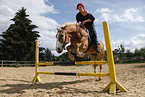 jumping Haflinger horse