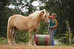 woman with Haflinger horse