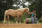 woman with Haflinger horse