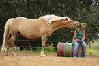 woman with Haflinger horse