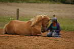 woman with Haflinger horse