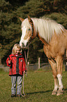 kid and Haflinger horse