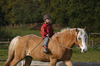 kid rides Haflinger horse