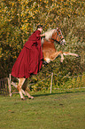 woman rides Haflinger horse