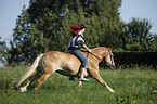 woman rides Haflinger horse