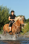 woman rides Haflinger horse