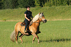 woman rides Haflinger horse