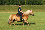 woman rides Haflinger horse