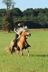 woman rides Haflinger horse