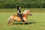 woman rides Haflinger horse