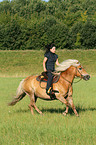 woman rides Haflinger horse
