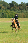 woman rides Haflinger horse