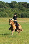 woman rides Haflinger horse