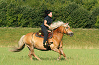 woman rides Haflinger horse