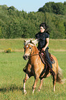 woman rides Haflinger horse