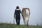 woman with Haflinger horse