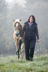 woman with Haflinger horse