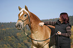 woman with Haflinger horse