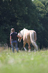 girl and Haflinger horse