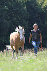girl and Haflinger horse