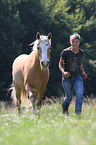 girl and Haflinger horse