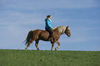 woman rides Haflinger horse