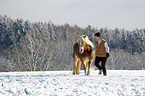 woman and Haflinger horse