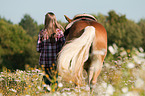 girl and Haflinger horse