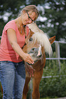 woman and Haflinger